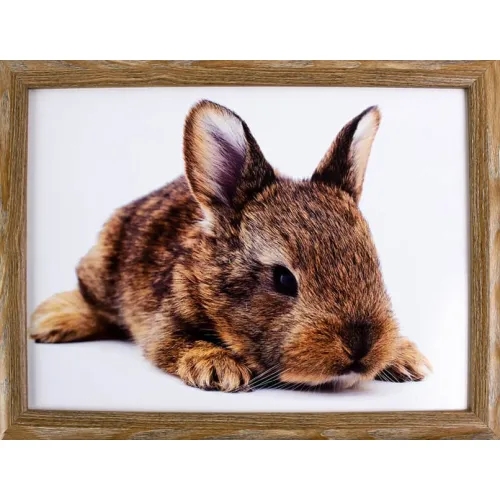 Kniedienblad met kussen eronder Laptray schootkussen Liggend Konijn